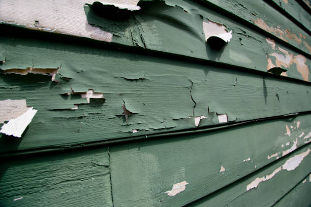 Affordable Siding Repair and Maintenance Services in Pleasant Hill, PA